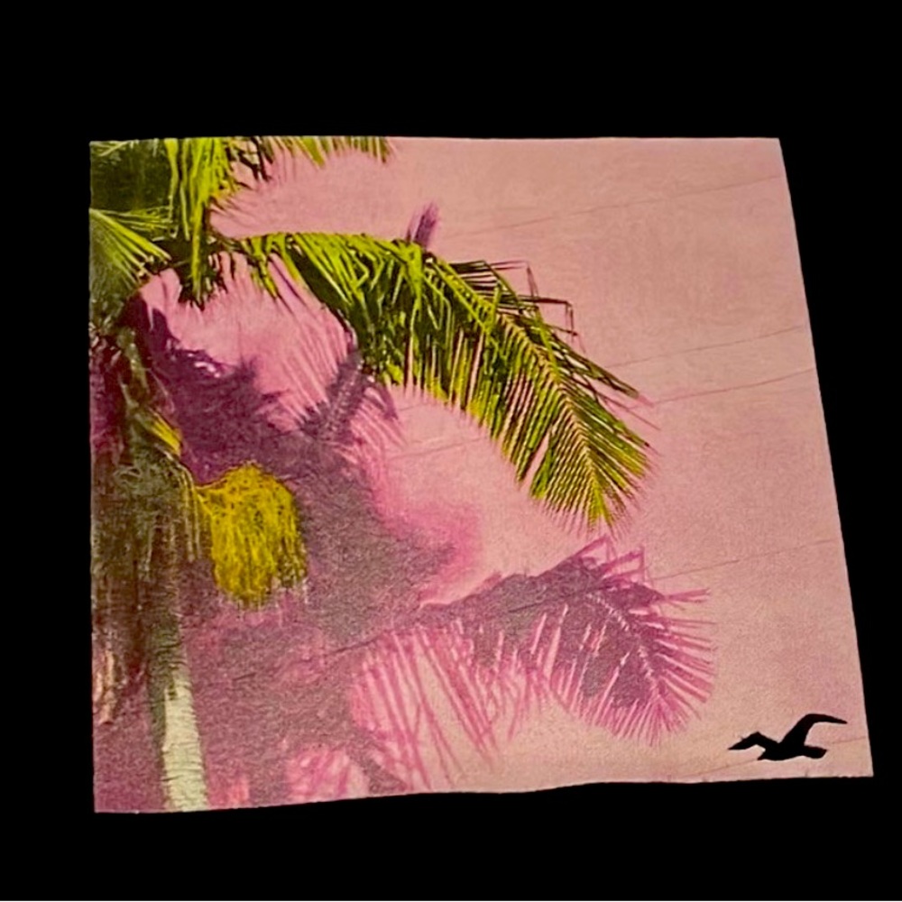 Hollister long-sleeve shirt